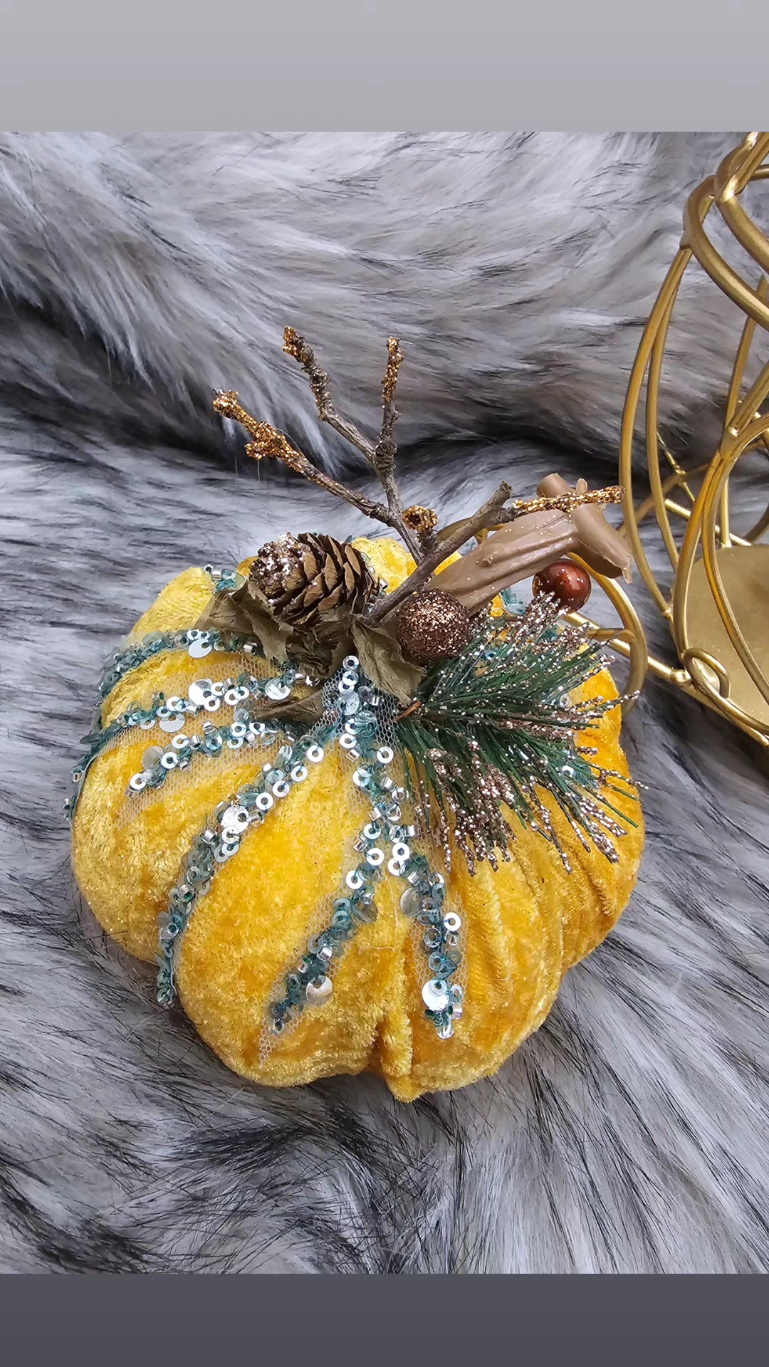 400168323_856699616460070_3956247157932690819_n