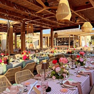 ΒΑΜΒΑΚΕΡΟ ΡΙΓΑ, ΡΟΖ ΠΑΣΤΕΛ ΔΙΠΛΟΦΑΡΔΟ