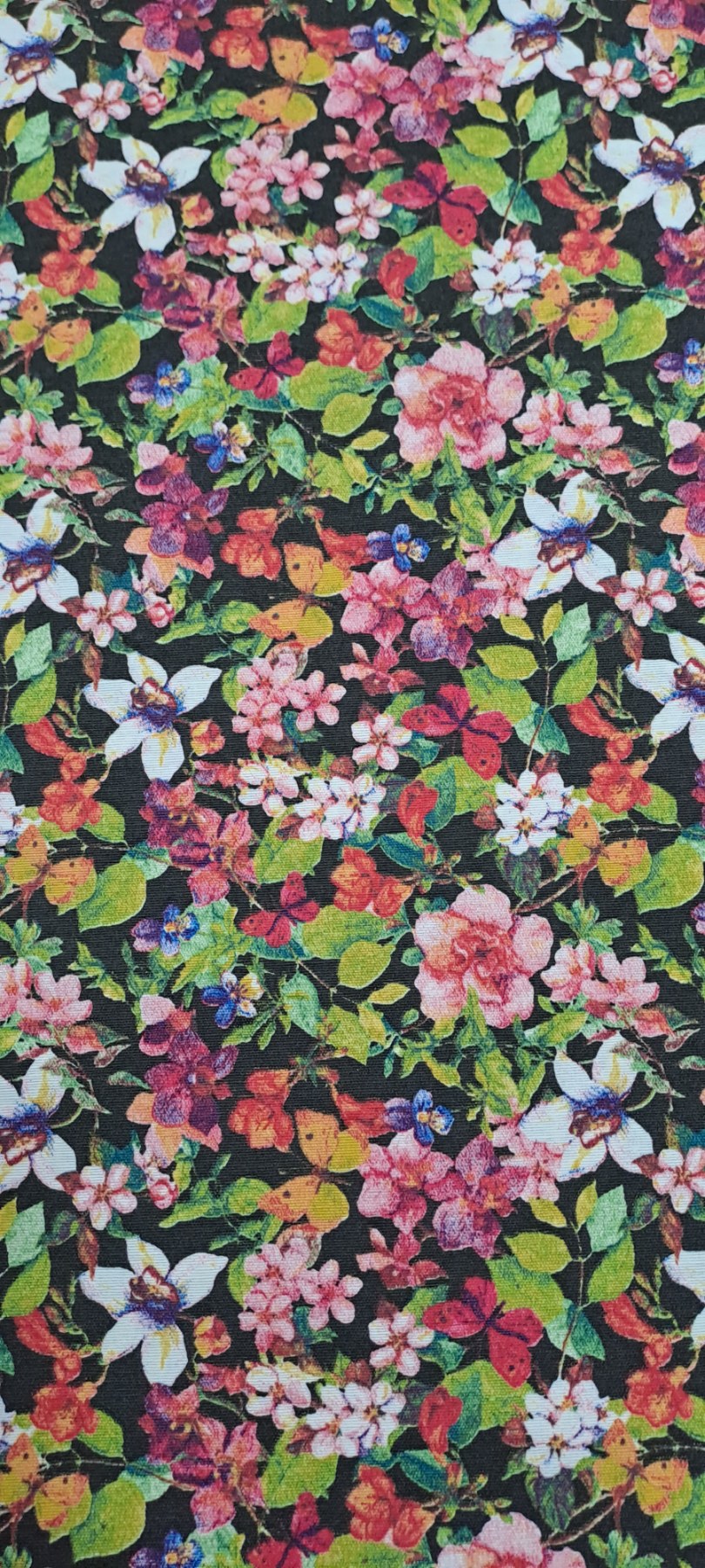 εικόνα_Viber_2023-03-24_12-37-38-649