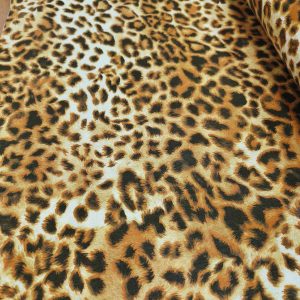 ΒΑΜΒΑΚΕΡΟ  ΑΝΙΜΑΛ,  ΔΙΠΛΟΦΑΡΔΟ