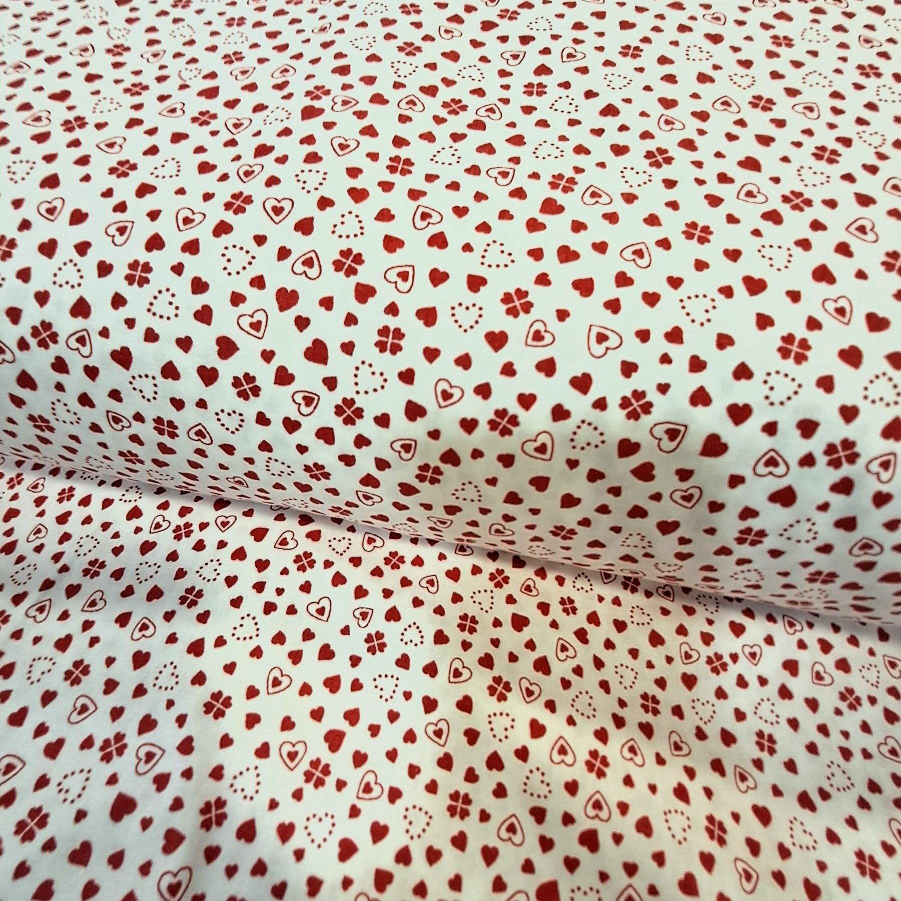 εικόνα_Viber_2024-11-15_17-25-56-229