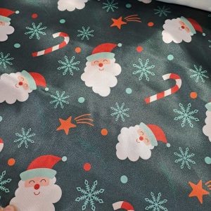 ΦΟΔΡΑ ΣΑΤΕΝ ΧΡΙΣΤΟΥΓΕΝΙΑΤΙΚΗ ΑΓΙΟΣ ΒΑΣΙΛΗΣ ΚΥΠΑΡΙΣΙ