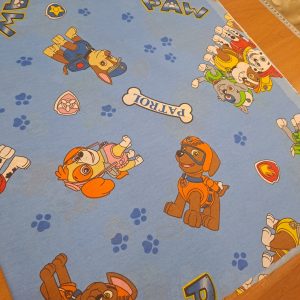 ΒΑΜΒΑΚΕΡΟ ΠΑΤΡΟΛ ( PATROL ) ΣΙΕΛ ΔΙΠΛΟΦΑΡΔΟ