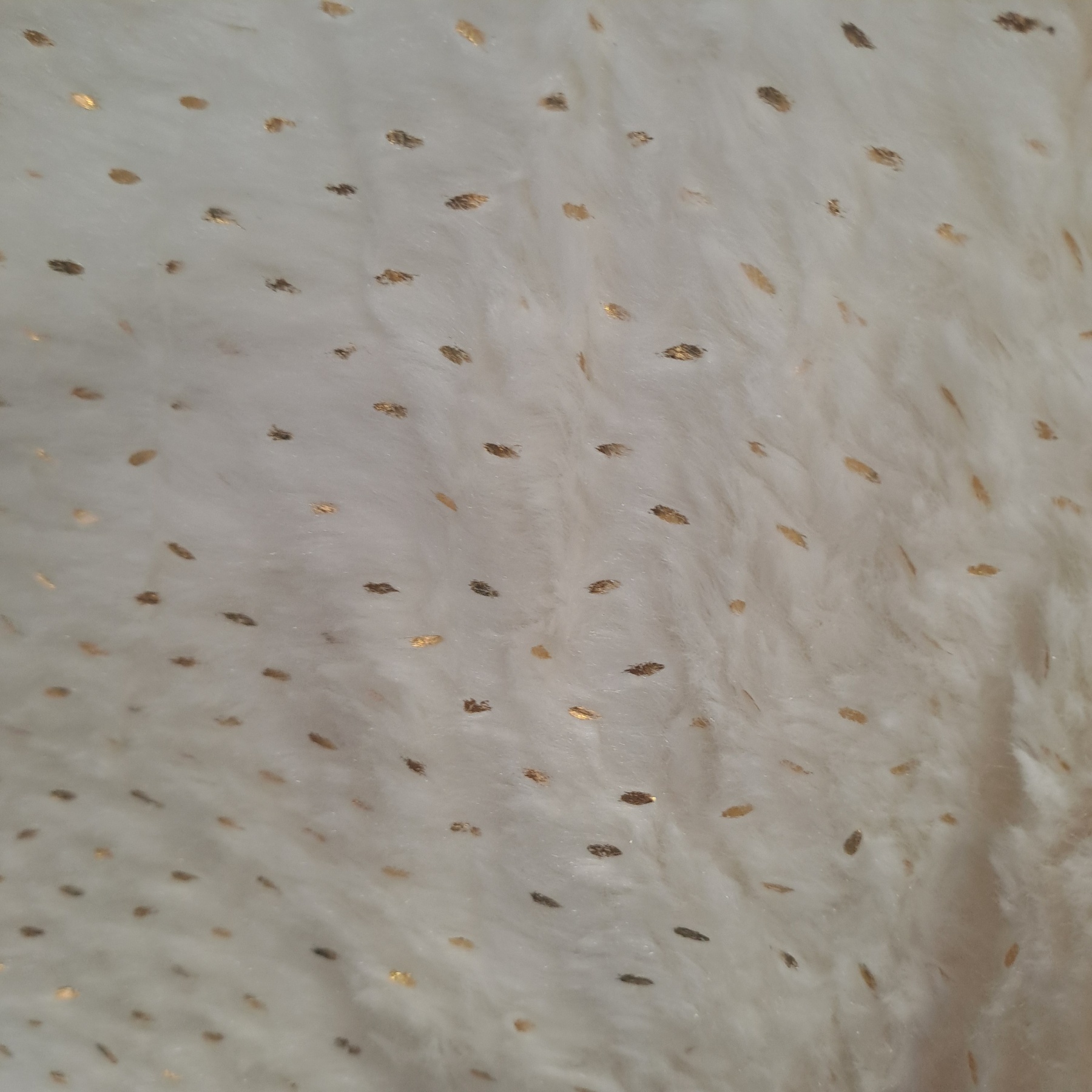 εικόνα_Viber_2025-12-19_14-39-27-664